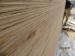 BURMESE TEAK PLYWOOD HARDWOOD CORE