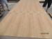 BURMESE TEAK PLYWOOD HARDWOOD CORE