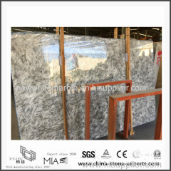 New Alpinus White Marble