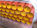China red epoxy coated cast iron drainage pipe 1
