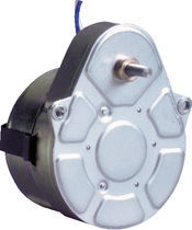 CW CCW Synchronous Motors With Gear
