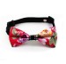 dog grooming dog bow tie