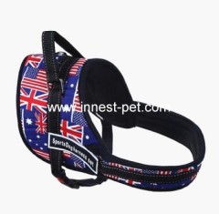 dog collar and leash dog harness