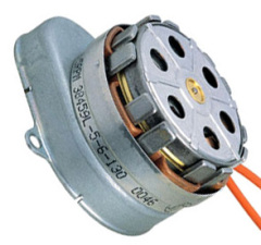 Synchronous Geard AC Motor