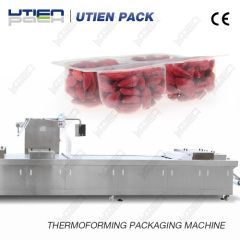 dry fruits packaging machine