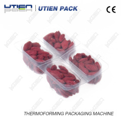 dry fruits packaging machine