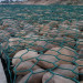 Gabion Basket With Best Price