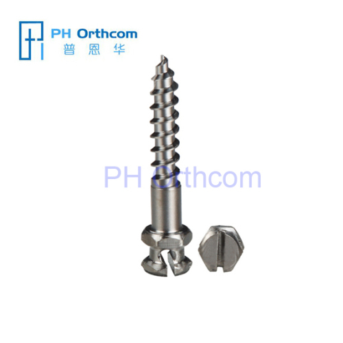 auto-perforación de titanio tornillos de anclaje de ortodoncia 1,6 mm 2,0 mm aleación de titanio Ti-6Al-4V (TC4)