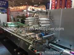 Full Automatic Multi-functional Pillow Packing Machine
