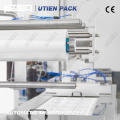 Automatic Chicken Thermoforming Vacuum Packing Machine