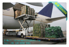 Customs Broker Shanghai Customs Clearance