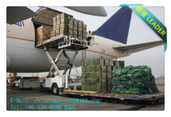 Shantou Import Customs Broker Customs Clearance