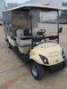 Street Legal Electric Powered Utility Vehicles With 2 Seater Curtis Controller