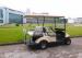Popular 4 Passengers Electrical Golf Carts Electric Motor With EEC & CE Certificates