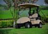 Battery Operated 2 Seater Golf Carts 48V 3 KW Custom Street Legal Golf Carts