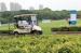 3KW AC KDS Motor Street Legal Electric Golf Carts With 2 Seater Easy Control