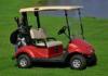 Flexible Electric Golf Cart Car With Two Seat Battery Powered CE Approved