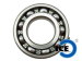 SUZUKI Outboard Motor Bearing