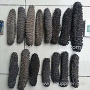 Vietnam Dried Sea Cucumber High Quality For Medicine