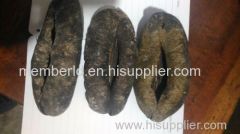 Vietnam Dried Sea Cucumber High Quality For Medicine