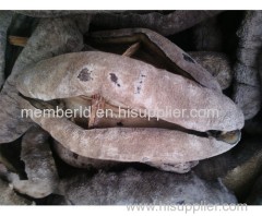 Vietnam Dried Sea Cucumber High Quality For Medicine