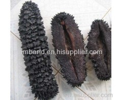 Vietnam Dried Sea Cucumber High Quality For Medicine