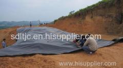 HDPE waterproof geomembrane manufacturer