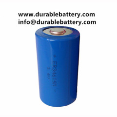 3.6V 19000mAh Size D ER34615 Li/SOCl2 Battery Primary Lithium Battery LS34615 34615