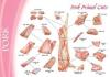 Frozen Pork Meat Cuts