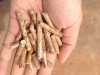 Wood Pellet for Industrial Boiler or Residential Heating