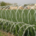 Galvanized razor barbed wire