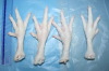 Frozen Whole Chicken Frozen Chicken Wing Frozen Chicken Leg Quarter Frozen Chicken Paw Frozen chicken Feet