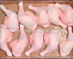 Frozen Whole Chicken Frozen Chicken Wing Frozen Chicken Leg Quarter Frozen Chicken Paw Frozen chicken Feet