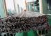 DIN2391 ST35 ST45 Cold Drawn Seamless Steel Pipe For High Pressure Diesel Fuel Injection