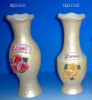 Ceramic Vase & Flower pot