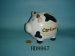 Ceramic Money box .