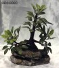 Poly resin Bonsai .