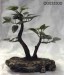 Poly resin Bonsai .