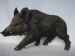 Polyresin Wildlife Animal sculpture