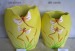 Ceramic / Pottery Flowerpot