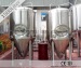 micro brew equipment cost