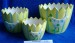 Ceramic Easter Hen and Flowerpot