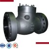 Carbon Steel Pressure Seal Check Valve