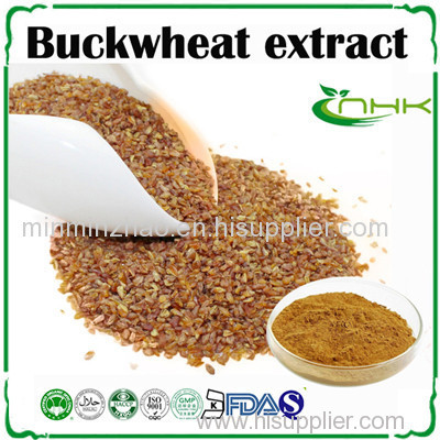 Buck wheat seed extract flavonoids