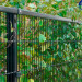 Welded wire mesh fence for garden