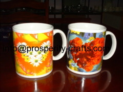 Porcelain Decal / Glazed Mug