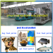 Jinan Dingrun pet food extruder