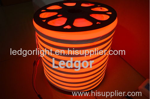 Flexible LED Neon Flex