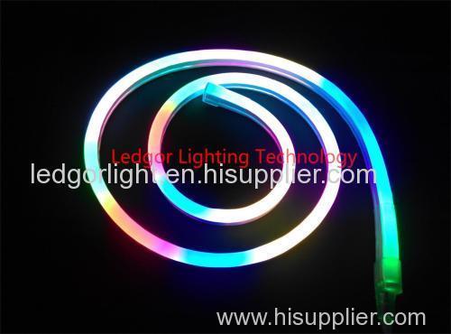 12V 24V digital led flex neon RGB neon tube