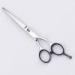 Right Hand Professional Hair Cutting Scissors 5.5'' For Long Hair Cutting